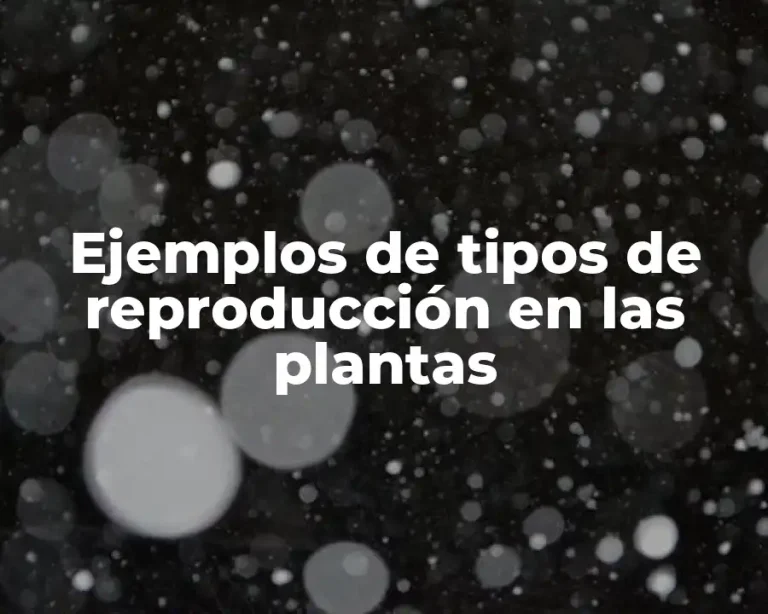 Ejemplos de tipos de reproducción en las plantas