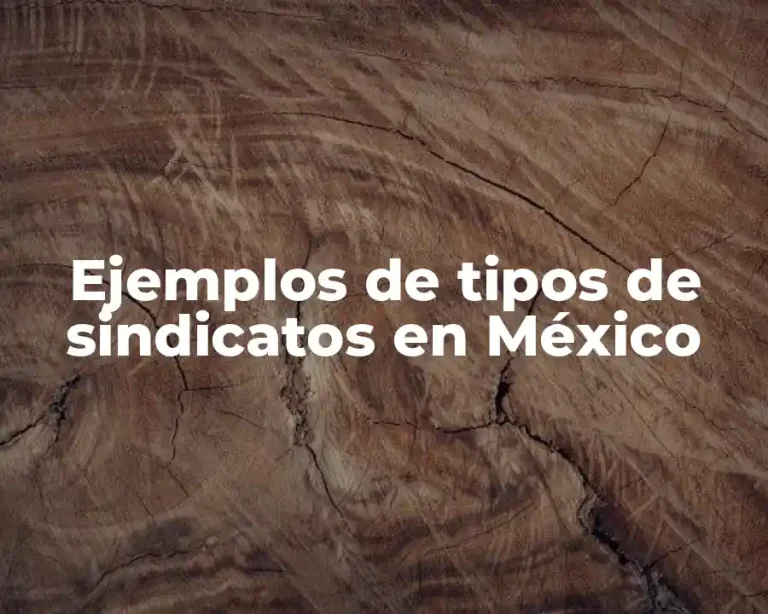 Ejemplos de tipos de sindicatos en México
