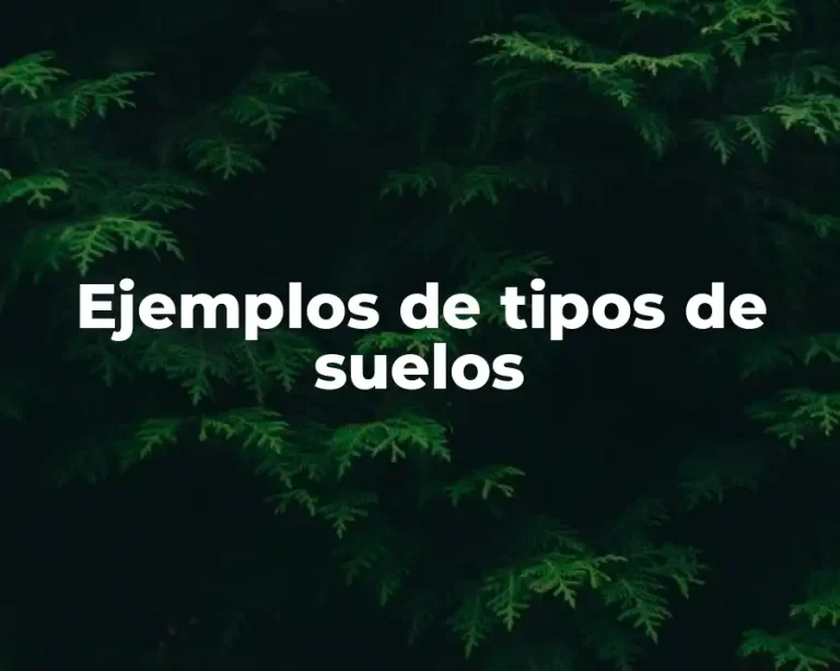 Ejemplos de tipos de suelos