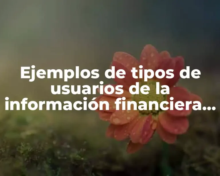 Ejemplos de tipos de usuarios de la información financiera y Significado