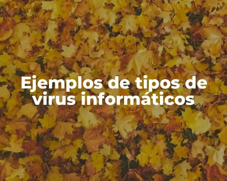 Ejemplos de tipos de virus informáticos