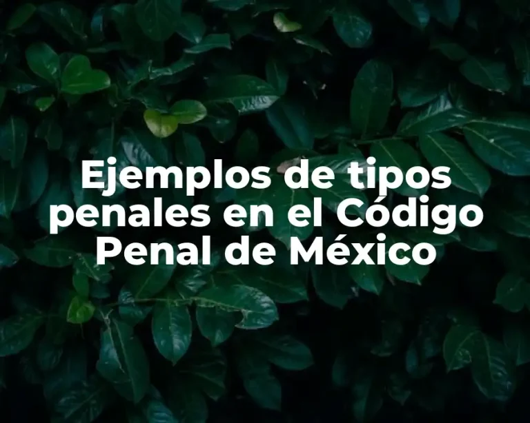Ejemplos de tipos penales en el Código Penal de México
