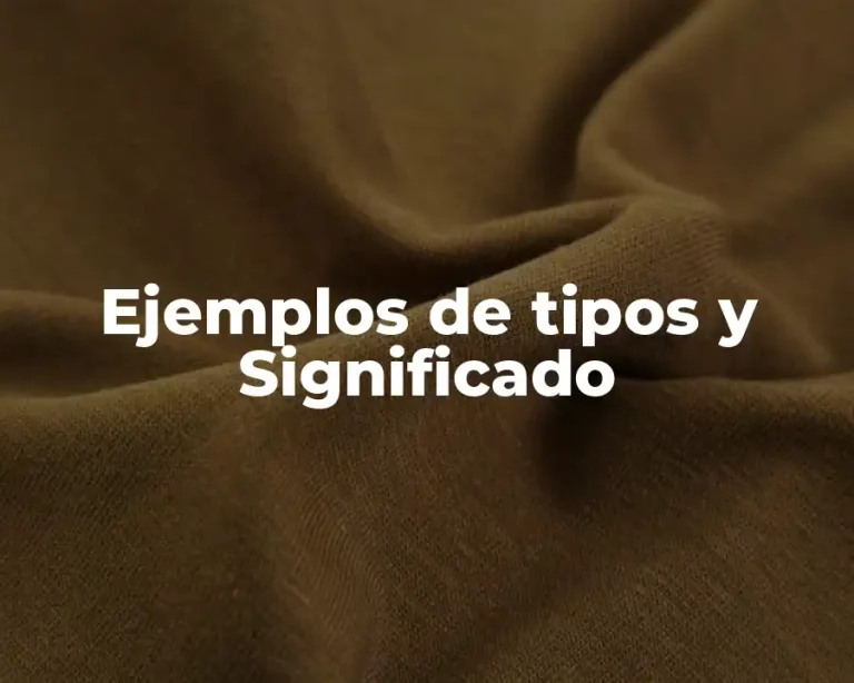 Ejemplos de tipos y Significado