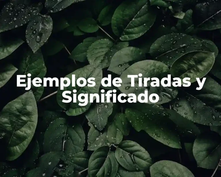 Ejemplos de Tiradas y Significado