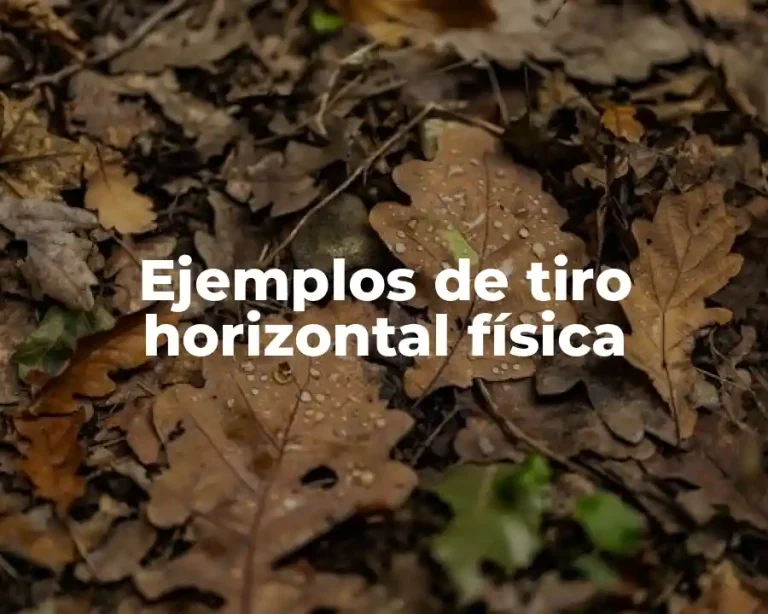 Ejemplos de tiro horizontal física