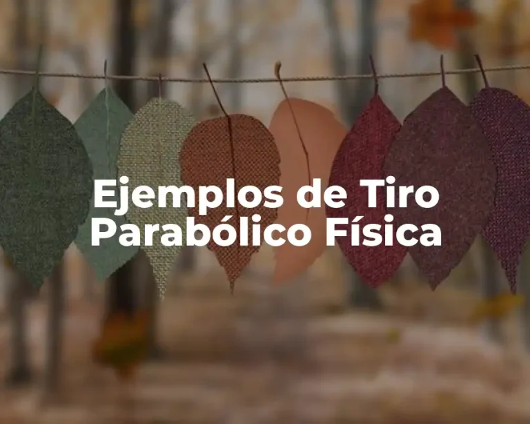 Ejemplos de Tiro Parabólico Física