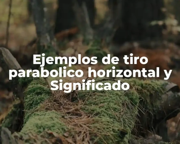Ejemplos de tiro parabolico horizontal y Significado