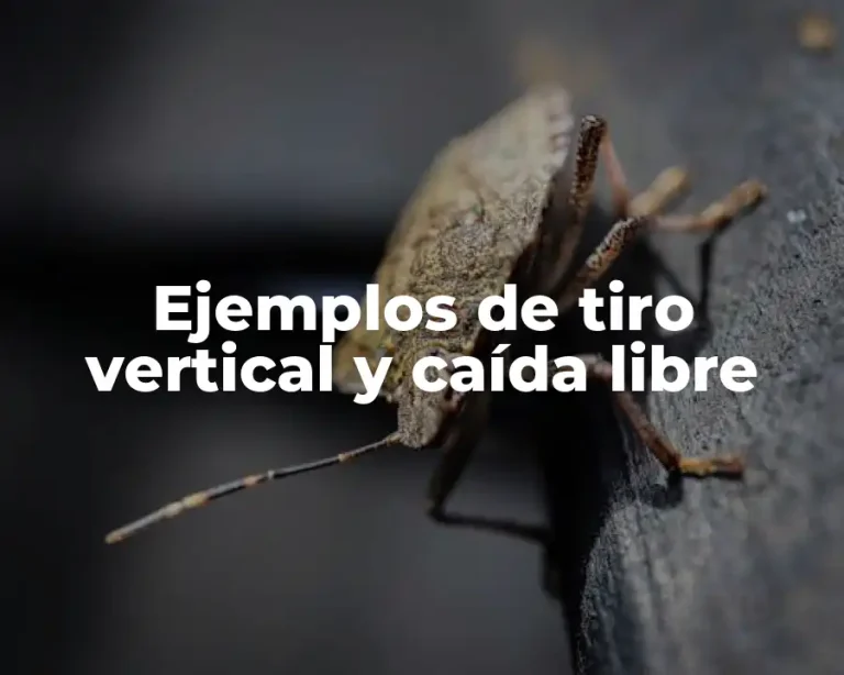 Ejemplos de tiro vertical y caída libre