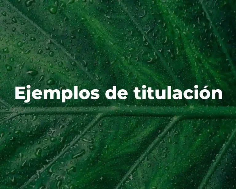 Ejemplos de titulación