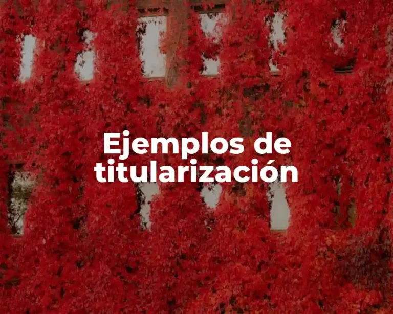 Ejemplos de titularización