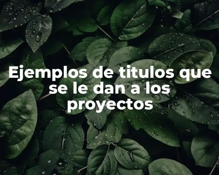 Ejemplos de titulos que se le dan a los proyectos