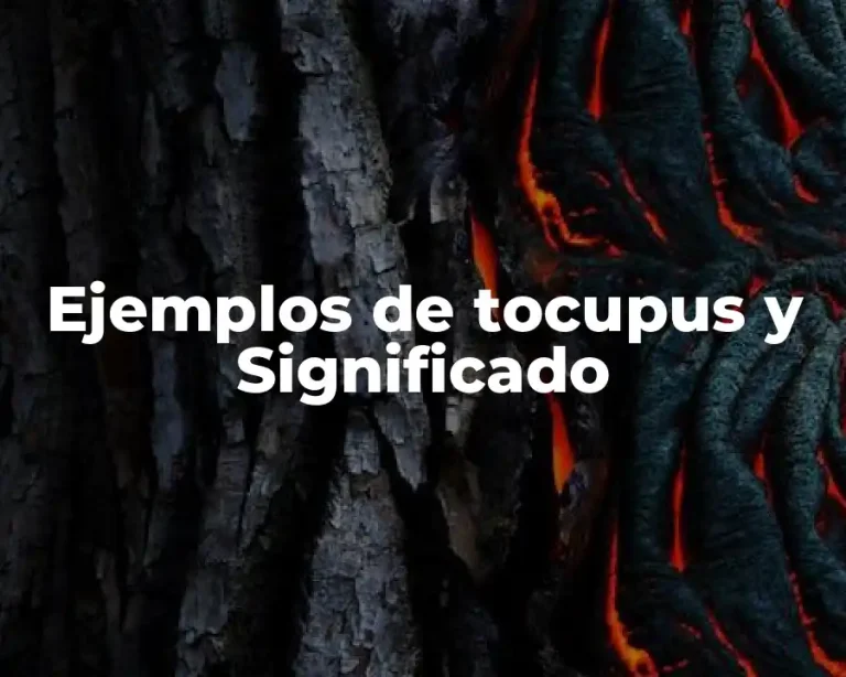 Ejemplos de tocupus y Significado