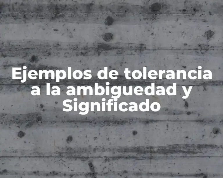 Ejemplos de tolerancia a la ambiguedad y Significado