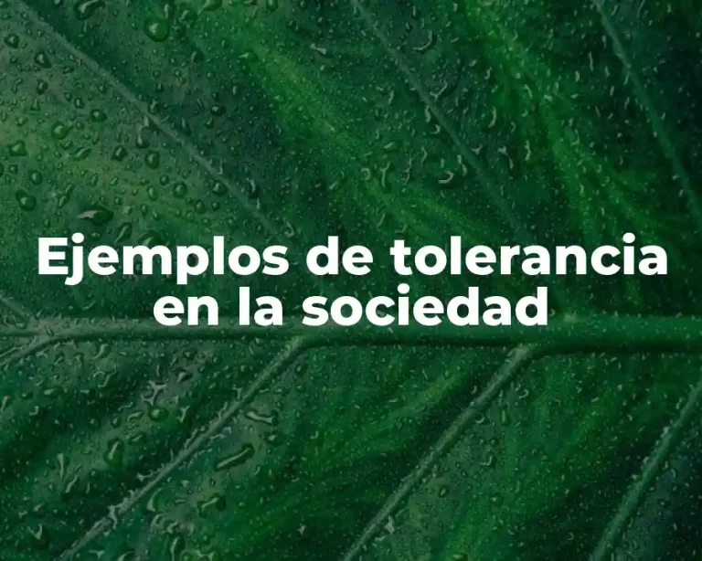 Ejemplos de tolerancia en la sociedad