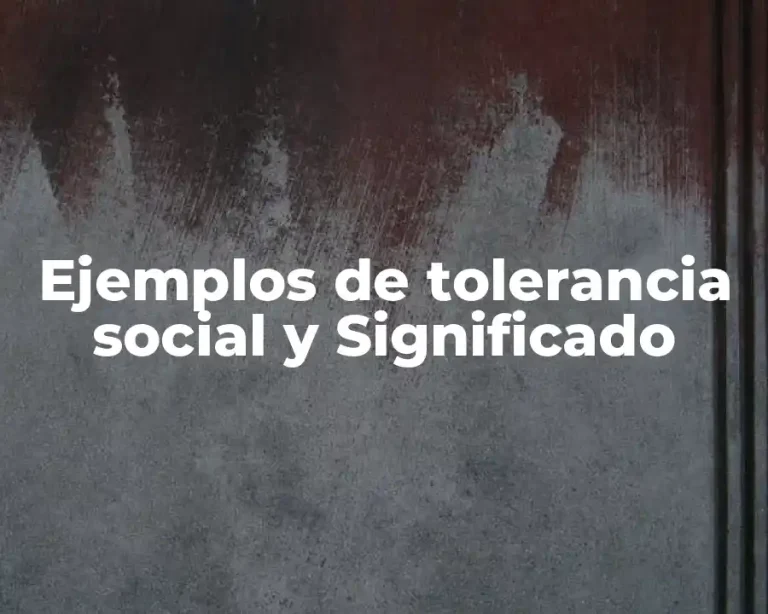 Ejemplos de tolerancia social y Significado