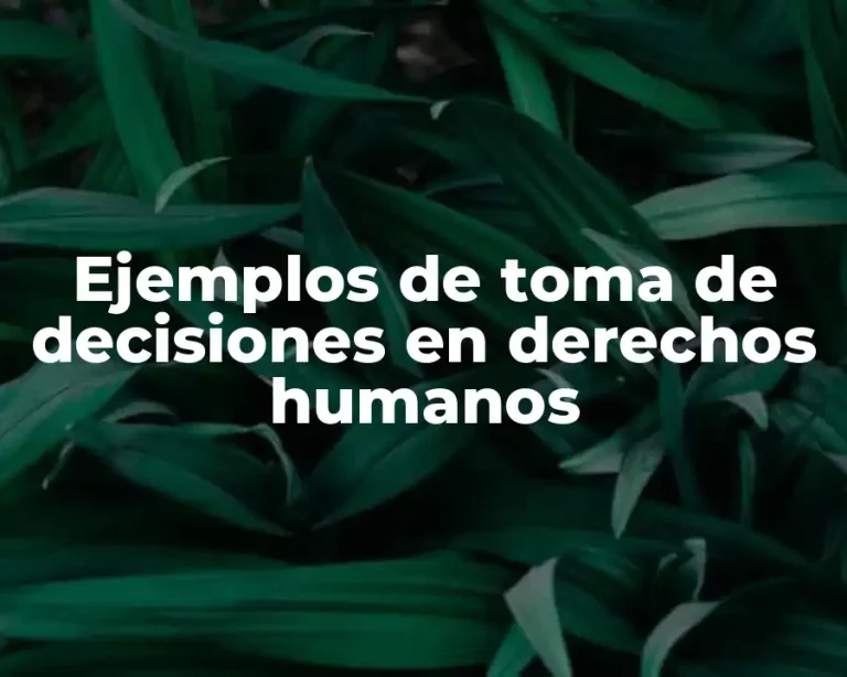 Ejemplos de toma de decisiones en derechos humanos