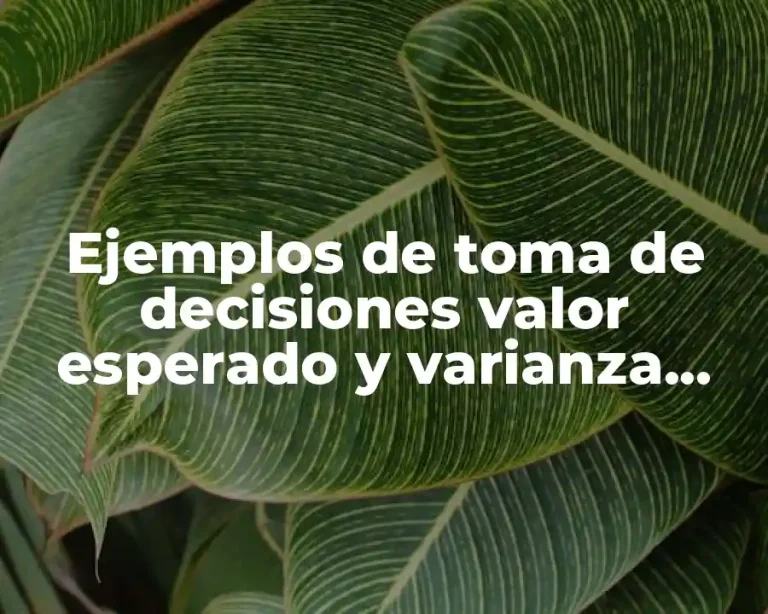 Ejemplos de toma de decisiones valor esperado y varianza combinados