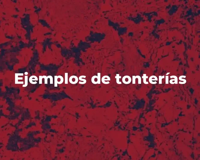 Ejemplos de tonterías