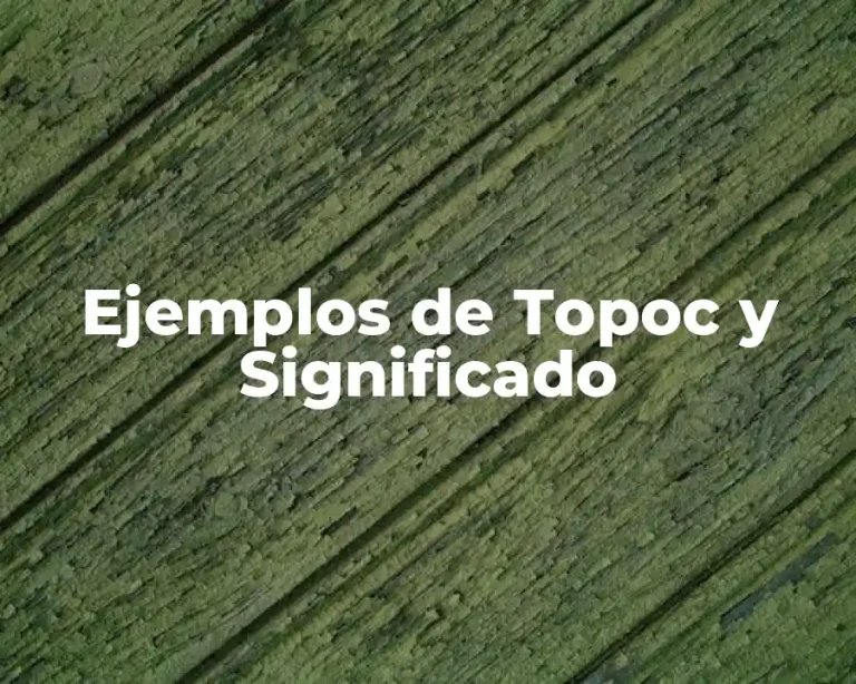 Ejemplos de Topoc y Significado
