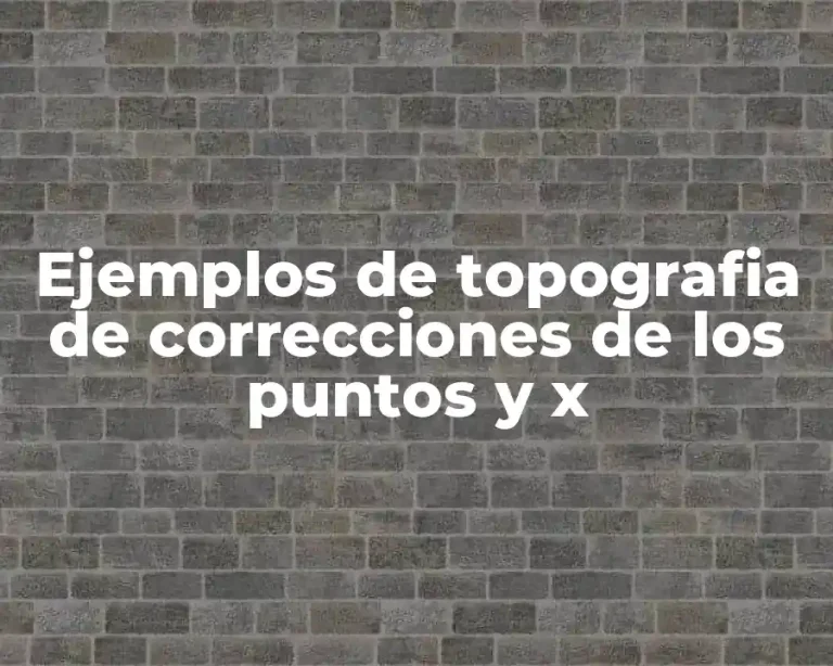 Ejemplos de topografia de correcciones de los puntos y x