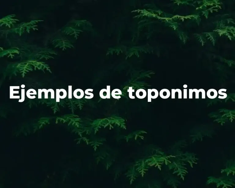 Ejemplos de toponimos