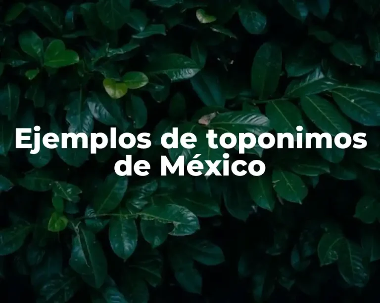 Ejemplos de toponimos de México