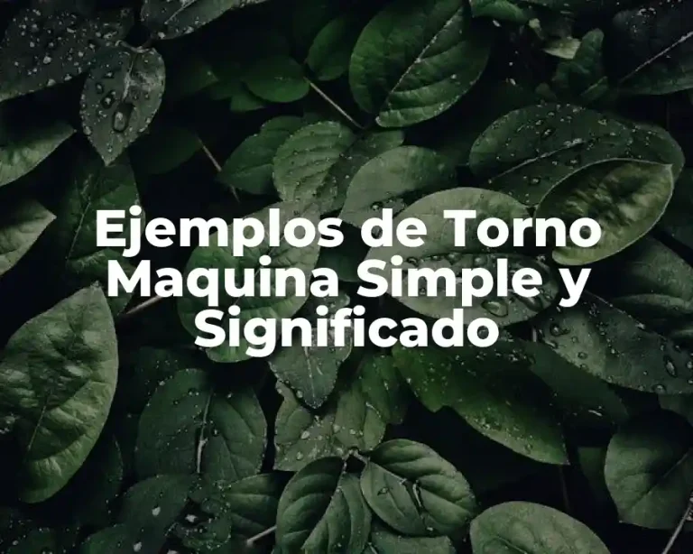 Ejemplos de Torno Maquina Simple y Significado