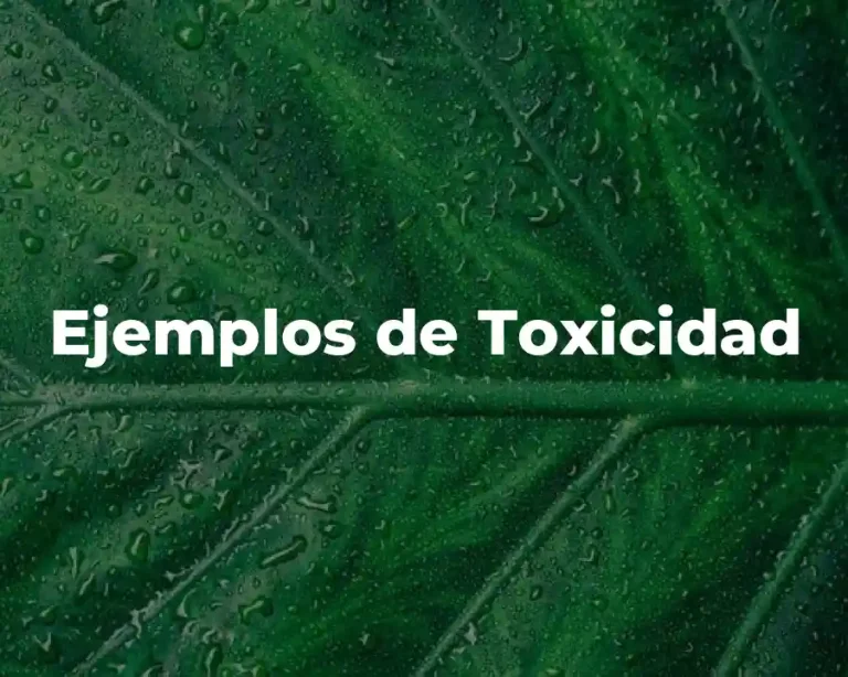 Ejemplos de Toxicidad