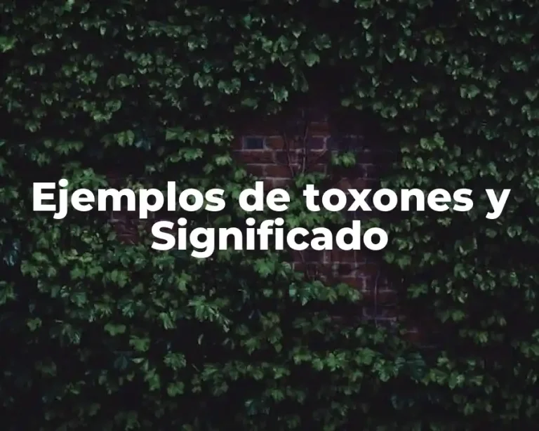 Ejemplos de toxones y Significado
