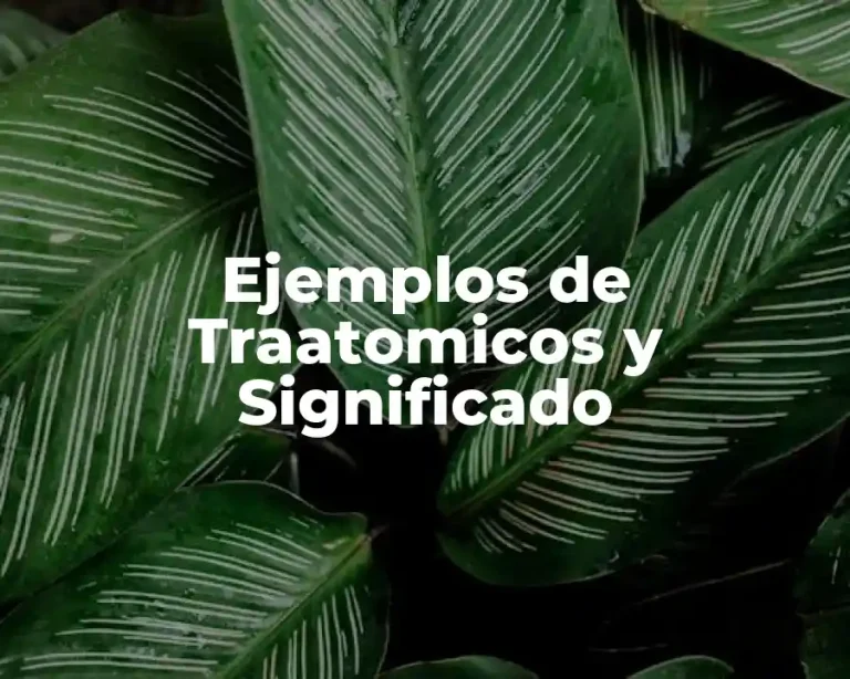 Ejemplos de Traatomicos y Significado