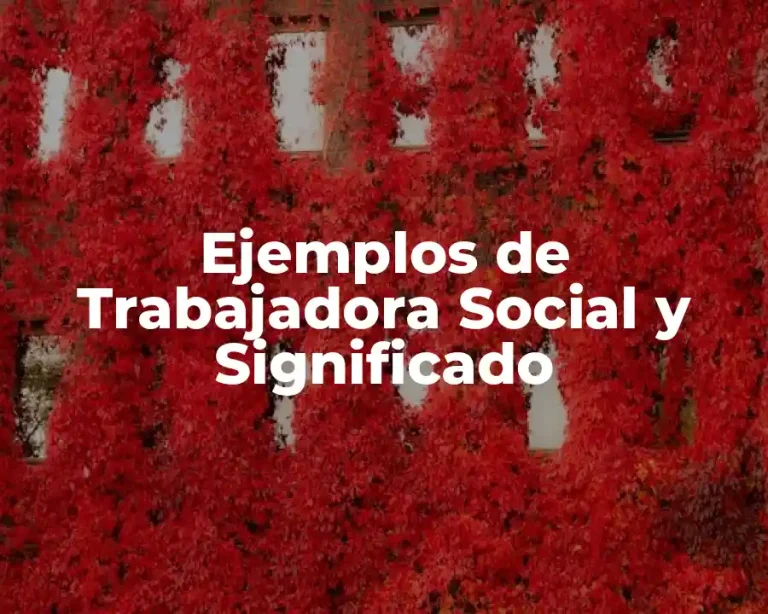 Ejemplos de Trabajadora Social y Significado