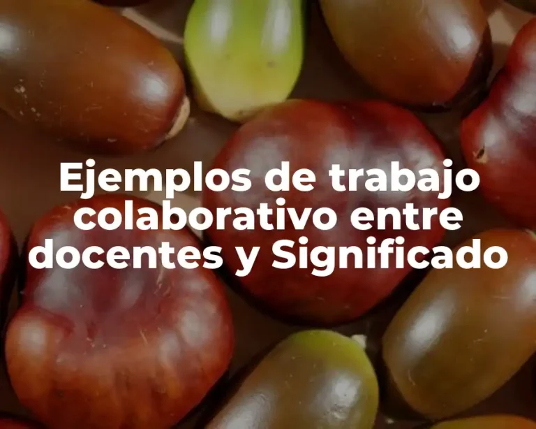 Ejemplos de trabajo colaborativo entre docentes y Significado