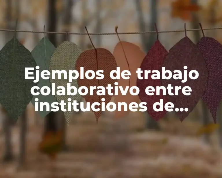 Ejemplos de trabajo colaborativo entre instituciones de educación media