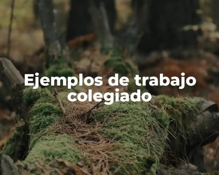 Ejemplos de trabajo colegiado