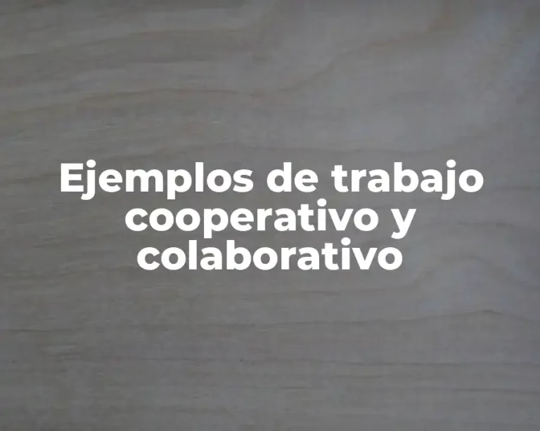 Ejemplos de trabajo cooperativo y colaborativo