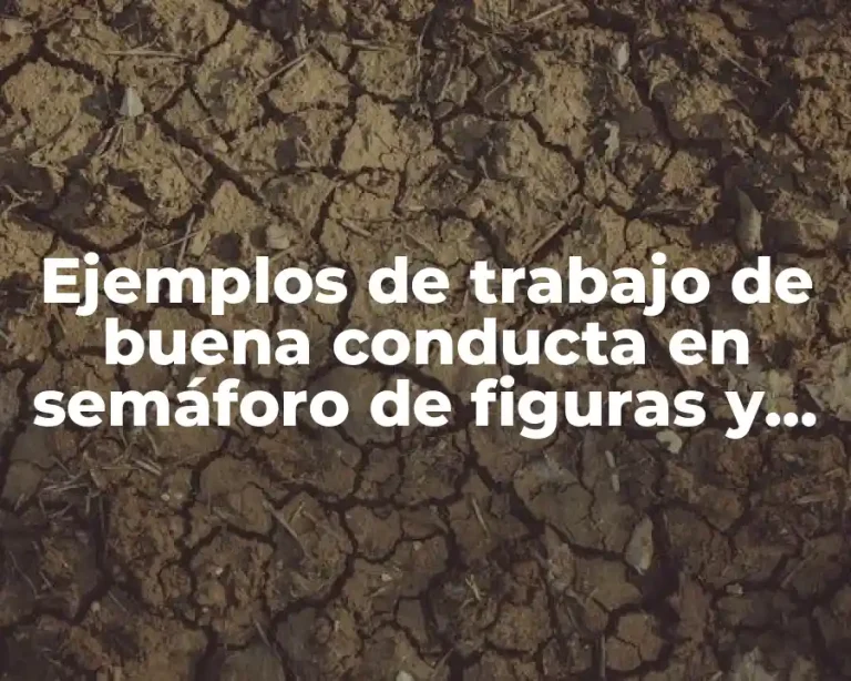Ejemplos de trabajo de buena conducta en semáforo de figuras y Significado
