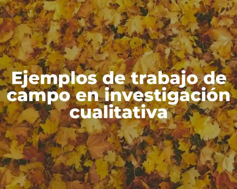 Ejemplos de trabajo de campo en investigación cualitativa