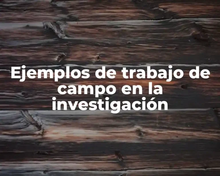 Ejemplos de trabajo de campo en la investigación