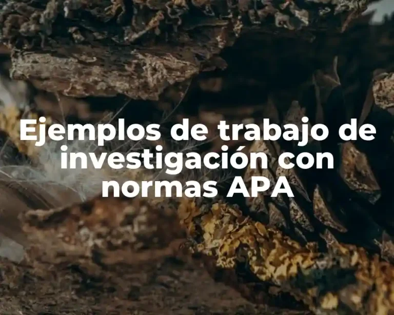 Ejemplos de trabajo de investigación con normas APA