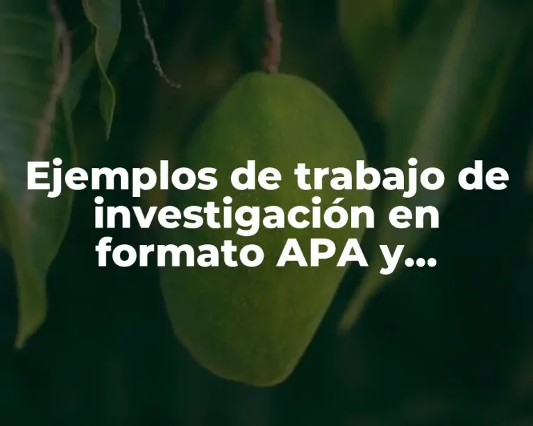 Ejemplos de trabajo de investigación en formato APA y Significado