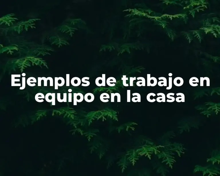 Ejemplos de trabajo en equipo en la casa