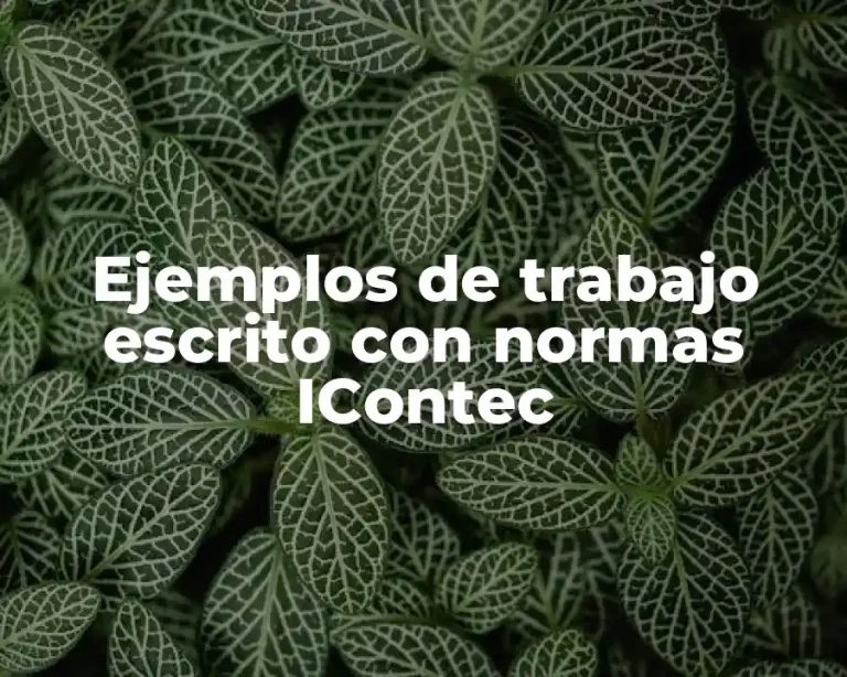 Ejemplos de trabajo escrito con normas IContec