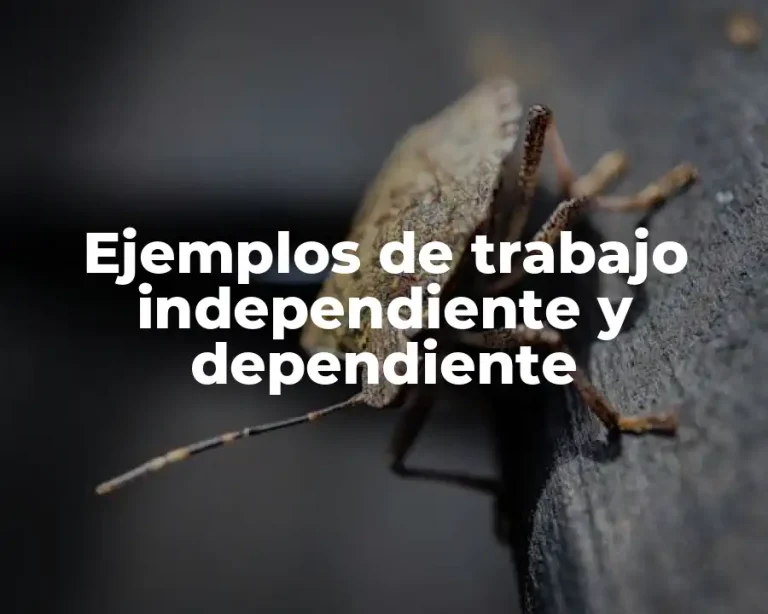 Ejemplos de trabajo independiente y dependiente