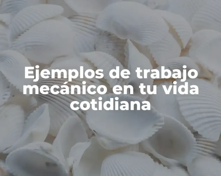 Ejemplos de trabajo mecánico en tu vida cotidiana