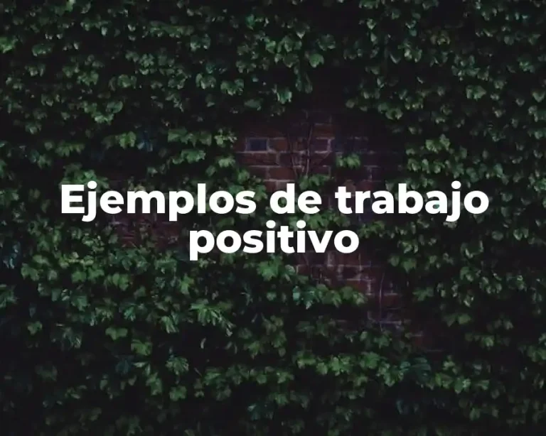 Ejemplos de trabajo positivo