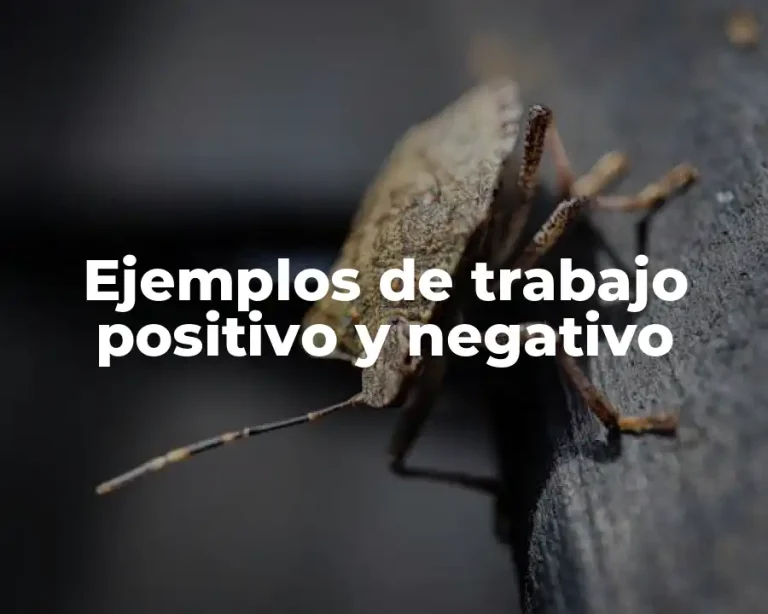 Ejemplos de trabajo positivo y negativo