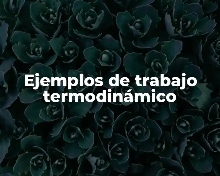Ejemplos de trabajo termodinámico