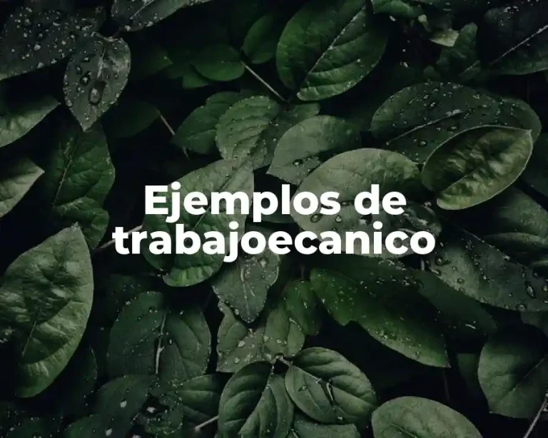 Ejemplos de trabajoecanico