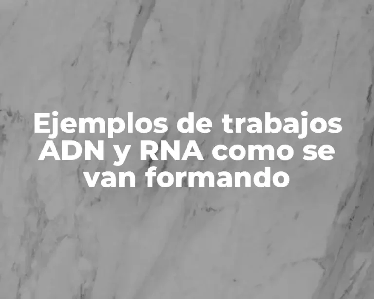 Ejemplos de trabajos ADN y RNA como se van formando