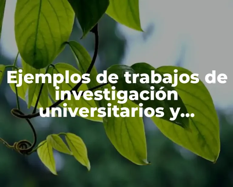 Ejemplos de trabajos de investigación universitarios y Significado